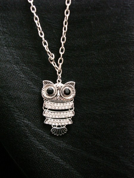 Long Chain Owl Set in Silver